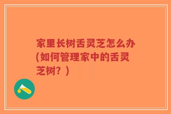 家里长树舌灵芝怎么办(如何管理家中的舌灵芝树?)-第1张图片-超越 家里长树舌灵芝怎么办(如何管理家中的舌灵芝树?)-第1张图片-超越