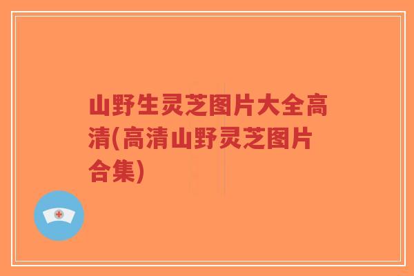 山野生灵芝图片大全高清(高清山野灵芝图片合集)-第1张图片-超越 山野生灵芝图片大全高清(高清山野灵芝图片合集)-第1张图片-超越