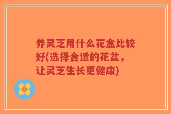 养灵芝用什么花盒比较好(选择合适的花盆，让灵芝生长更健康)-第1张图片-超越
