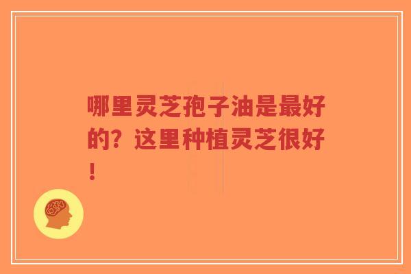 哪里灵芝孢子油是最好的？这里种植灵芝很好！-第1张图片-超越