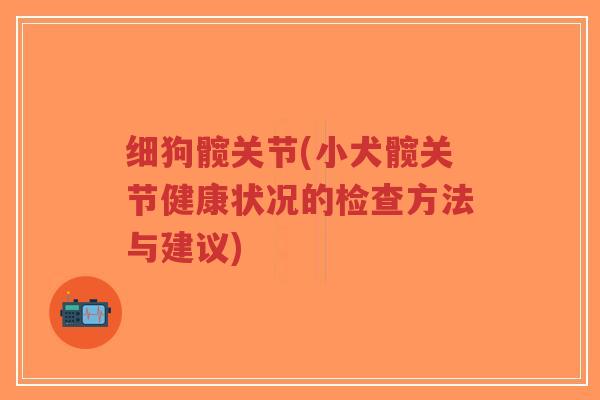 细狗髋关节(小犬髋关节健康状况的检查方法与建议)-第1张图片-超越 细狗髋关节(小犬髋关节健康状况的检查方法与建议)-第1张图片-超越