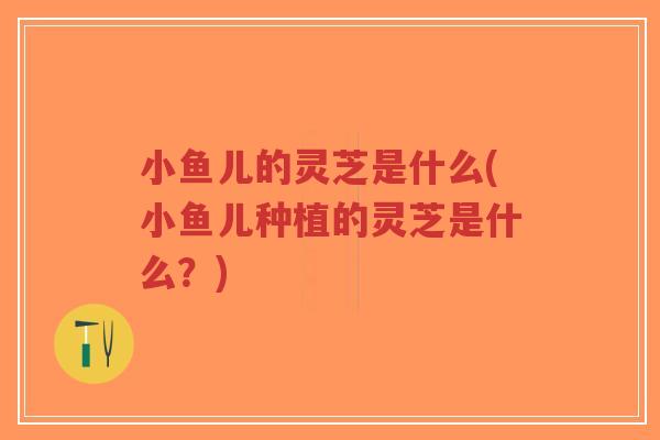 小鱼儿的灵芝是什么(小鱼儿种植的灵芝是什么?)-第1张图片-超越 小鱼儿的灵芝是什么(小鱼儿种植的灵芝是什么?)-第1张图片-超越