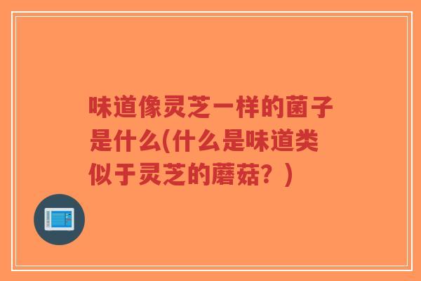 味道像灵芝一样的菌子是什么(什么是味道类似于灵芝的蘑菇?)-第1张图片-超越 味道像灵芝一样的菌子是什么(什么是味道类似于灵芝的蘑菇?)-第1张图片-超越