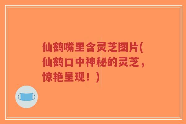 仙鹤嘴里含灵芝图片(仙鹤口中神秘的灵芝,惊艳呈现!)-第1张图片-超越 仙鹤嘴里含灵芝图片(仙鹤口中神秘的灵芝,惊艳呈现!)-第1张图片-超越