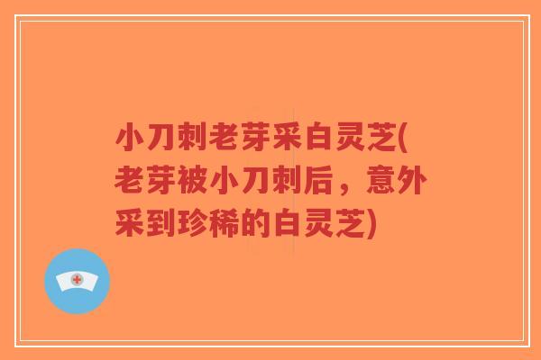 小刀刺老芽采白灵芝(老芽被小刀刺后,意外采到珍稀的白灵芝)-第1张图片-超越 小刀刺老芽采白灵芝(老芽被小刀刺后,意外采到珍稀的白灵芝)-第1张图片-超越