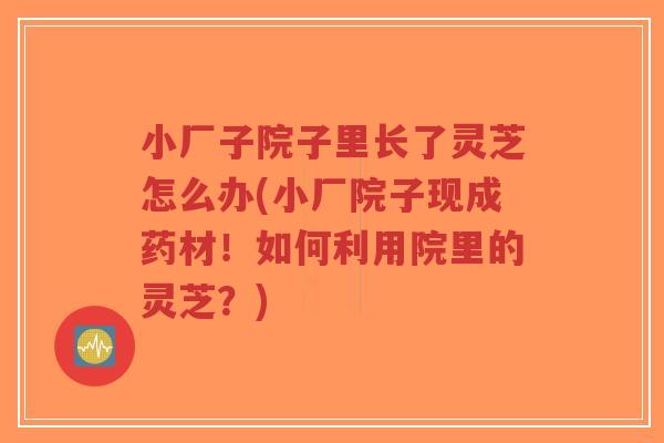 小厂子院子里长了灵芝怎么办(小厂院子现成药材!如何利用院里的灵芝?)-第1张图片-超越 小厂子院子里长了灵芝怎么办(小厂院子现成药材!如何利用院里的灵芝?)-第1张图片-超越