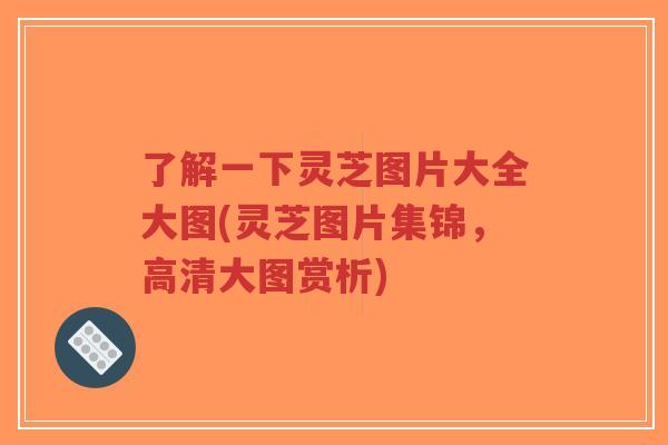 了解一下灵芝图片大全大图(灵芝图片集锦,高清大图赏析)-第1张图片-超越 了解一下灵芝图片大全大图(灵芝图片集锦,高清大图赏析)-第1张图片-超越