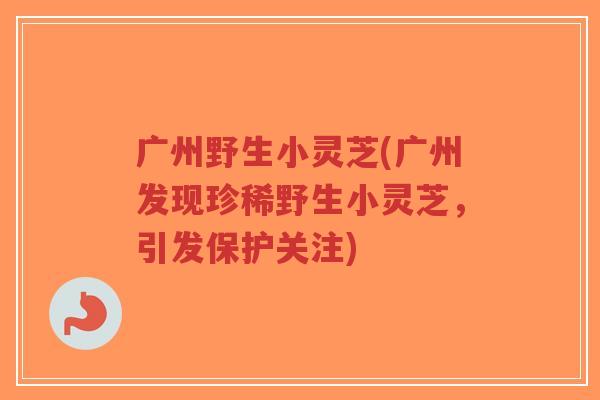 广州野生小灵芝(广州发现珍稀野生小灵芝,引发保护关注)-第1张图片-超越 广州野生小灵芝(广州发现珍稀野生小灵芝,引发保护关注)-第1张图片-超越