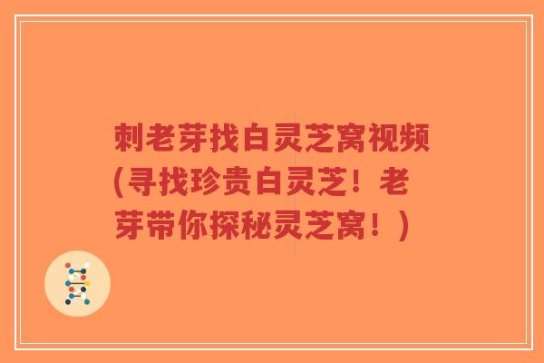 刺老芽找白灵芝窝视频(寻找珍贵白灵芝!老芽带你探秘灵芝窝!)-第1张图片-超越 刺老芽找白灵芝窝视频(寻找珍贵白灵芝!老芽带你探秘灵芝窝!)-第1张图片-超越