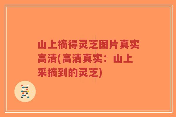 山上摘得灵芝图片真实高清(高清真实：山上采摘到的灵芝)-第1张图片-超越