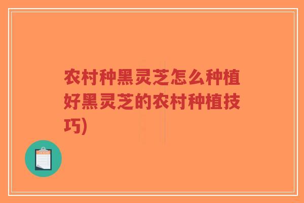 农村种黑灵芝怎么种植好黑灵芝的农村种植技巧)-第1张图片-超越 农村种黑灵芝怎么种植好黑灵芝的农村种植技巧)-第1张图片-超越