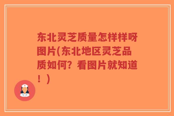 东北灵芝质量怎样样呀图片(东北地区灵芝品质如何?看图片就知道!)-第1张图片-超越 东北灵芝质量怎样样呀图片(东北地区灵芝品质如何?看图片就知道!)-第1张图片-超越