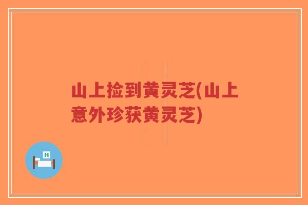 山上捡到黄灵芝(山上意外珍获黄灵芝)-第1张图片-超越 山上捡到黄灵芝(山上意外珍获黄灵芝)-第1张图片-超越
