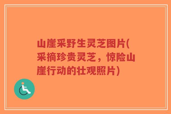 山崖采野生灵芝图片(采摘珍贵灵芝，惊险山崖行动的壮观照片)-第1张图片-超越