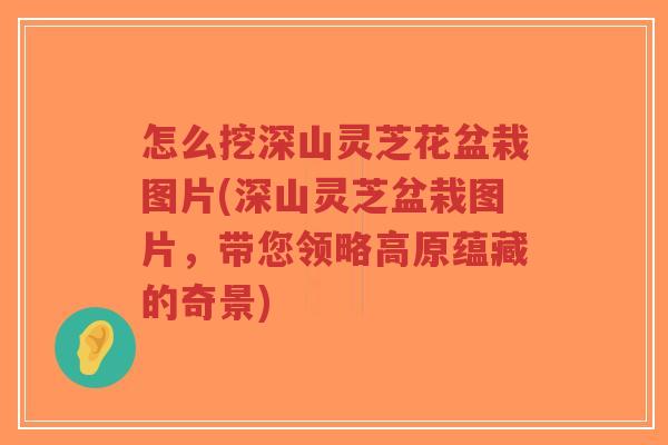 怎么挖深山灵芝花盆栽图片(深山灵芝盆栽图片,带您领略高原蕴藏的奇景)-第1张图片-超越 怎么挖深山灵芝花盆栽图片(深山灵芝盆栽图片,带您领略高原蕴藏的奇景)-第1张图片-超越