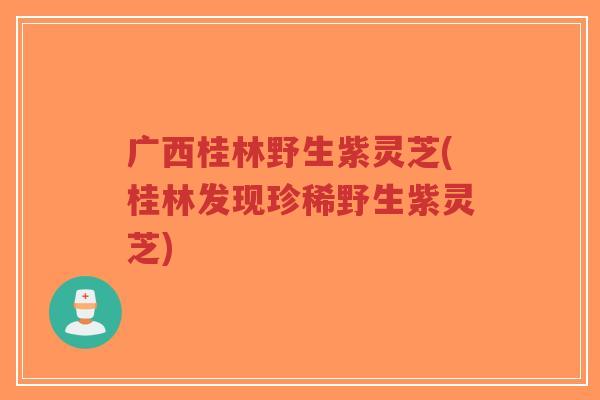 广西桂林野生紫灵芝(桂林发现珍稀野生紫灵芝)-第1张图片-超越 广西桂林野生紫灵芝(桂林发现珍稀野生紫灵芝)-第1张图片-超越
