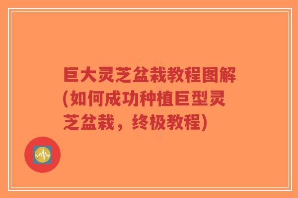 巨大灵芝盆栽教程图解(如何成功种植巨型灵芝盆栽,终极教程)-第1张图片-超越 巨大灵芝盆栽教程图解(如何成功种植巨型灵芝盆栽,终极教程)-第1张图片-超越