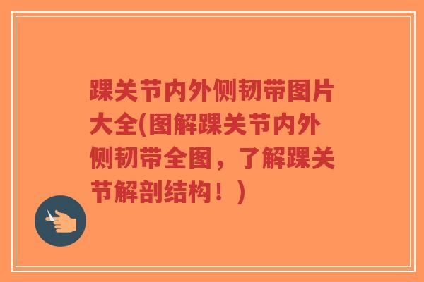 踝关节内外侧韧带图片大全(图解踝关节内外侧韧带全图,了解踝关节解剖结构!)-第1张图片-超越 踝关节内外侧韧带图片大全(图解踝关节内外侧韧带全图,了解踝关节解剖结构!)-第1张图片-超越