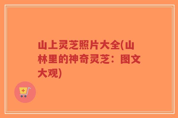 山上灵芝照片大全(山林里的神奇灵芝:图文大观)-第1张图片-超越 山上灵芝照片大全(山林里的神奇灵芝:图文大观)-第1张图片-超越