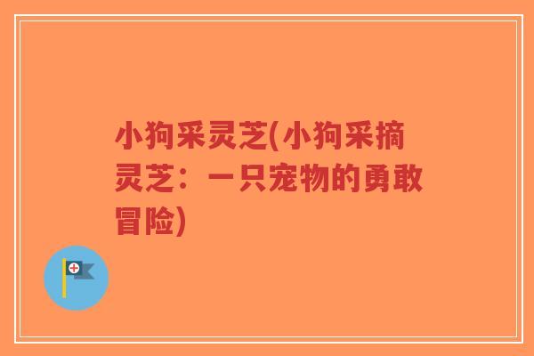 小狗采灵芝(小狗采摘灵芝:一只宠物的勇敢冒险)-第1张图片-超越 小狗采灵芝(小狗采摘灵芝:一只宠物的勇敢冒险)-第1张图片-超越