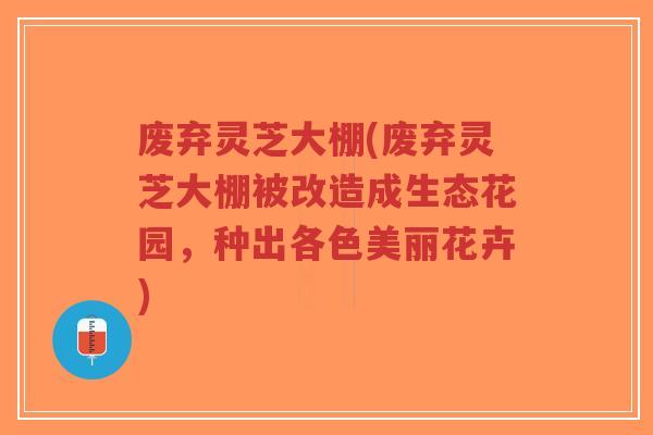 废弃灵芝大棚(废弃灵芝大棚被改造成生态花园，种出各色美丽花卉)-第1张图片-超越