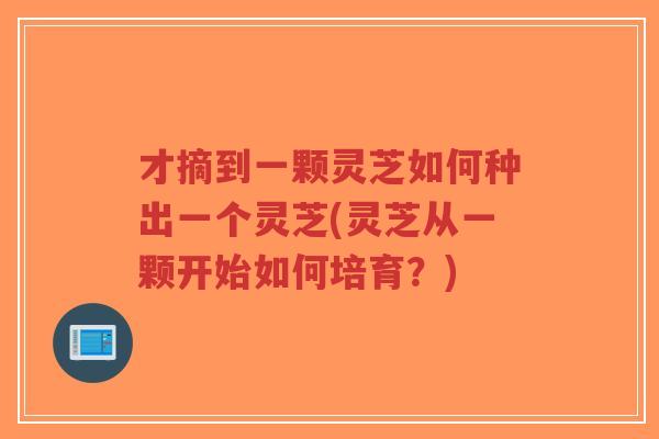 才摘到一颗灵芝如何种出一个灵芝(灵芝从一颗开始如何培育?)-第1张图片-超越 才摘到一颗灵芝如何种出一个灵芝(灵芝从一颗开始如何培育?)-第1张图片-超越