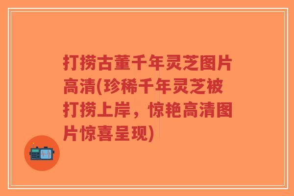 打捞古董千年灵芝图片高清(珍稀千年灵芝被打捞上岸,惊艳高清图片惊喜呈现)-第1张图片-超越 打捞古董千年灵芝图片高清(珍稀千年灵芝被打捞上岸,惊艳高清图片惊喜呈现)-第1张图片-超越