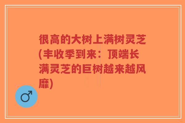很高的大树上满树灵芝(丰收季到来:顶端长满灵芝的巨树越来越风靡)-第1张图片-超越 很高的大树上满树灵芝(丰收季到来:顶端长满灵芝的巨树越来越风靡)-第1张图片-超越