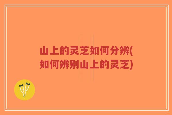 山上的灵芝如何分辨(如何辨别山上的灵芝)-第1张图片-超越