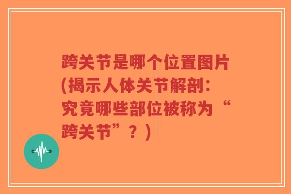 跨关节是哪个位置图片(揭示人体关节解剖:究竟哪些部位被称为“跨关节”?)-第1张图片-超越 跨关节是哪个位置图片(揭示人体关节解剖:究竟哪些部位被称为“跨关节”?)-第1张图片-超越