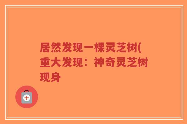 居然发现一棵灵芝树(重大发现:神奇灵芝树现身-第1张图片-超越 居然发现一棵灵芝树(重大发现:神奇灵芝树现身-第1张图片-超越