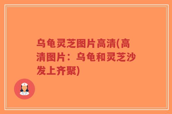 乌龟灵芝图片高清(高清图片:乌龟和灵芝沙发上齐聚)-第1张图片-超越 乌龟灵芝图片高清(高清图片:乌龟和灵芝沙发上齐聚)-第1张图片-超越