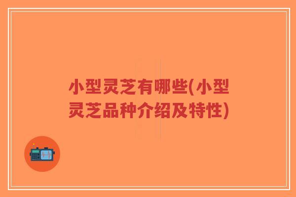 小型灵芝有哪些(小型灵芝品种介绍及特性)-第1张图片-超越 小型灵芝有哪些(小型灵芝品种介绍及特性)-第1张图片-超越
