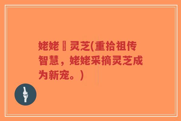姥姥釆灵芝(重拾祖传智慧,姥姥采摘灵芝成为新宠。)-第1张图片-超越 姥姥釆灵芝(重拾祖传智慧,姥姥采摘灵芝成为新宠。)-第1张图片-超越
