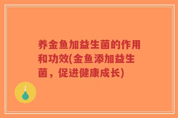 养金鱼加益生菌的作用和功效(金鱼添加益生菌,促进健康成长)-第1张图片-超越 养金鱼加益生菌的作用和功效(金鱼添加益生菌,促进健康成长)-第1张图片-超越