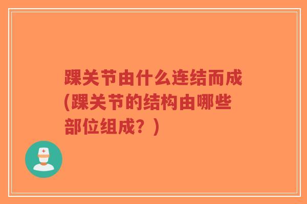 踝关节由什么连结而成(踝关节的结构由哪些部位组成?)-第1张图片-超越 踝关节由什么连结而成(踝关节的结构由哪些部位组成?)-第1张图片-超越