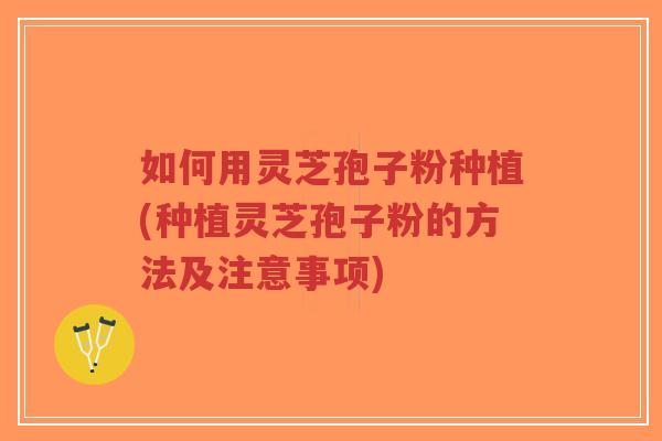 如何用灵芝孢子粉种植(种植灵芝孢子粉的方法及注意事项)-第1张图片-超越 如何用灵芝孢子粉种植(种植灵芝孢子粉的方法及注意事项)-第1张图片-超越