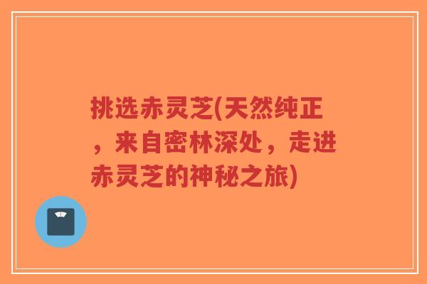 挑选赤灵芝(天然纯正,来自密林深处,走进赤灵芝的神秘之旅)-第1张图片-超越 挑选赤灵芝(天然纯正,来自密林深处,走进赤灵芝的神秘之旅)-第1张图片-超越