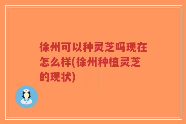 徐州可以种灵芝吗现在怎么样(徐州种植灵芝的现状)-第1张图片-超越 徐州可以种灵芝吗现在怎么样(徐州种植灵芝的现状)-第1张图片-超越