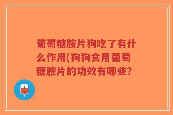 葡萄糖胺片狗吃了有什么作用(狗狗食用葡萄糖胺片的功效有哪些？-第1张图片-超越