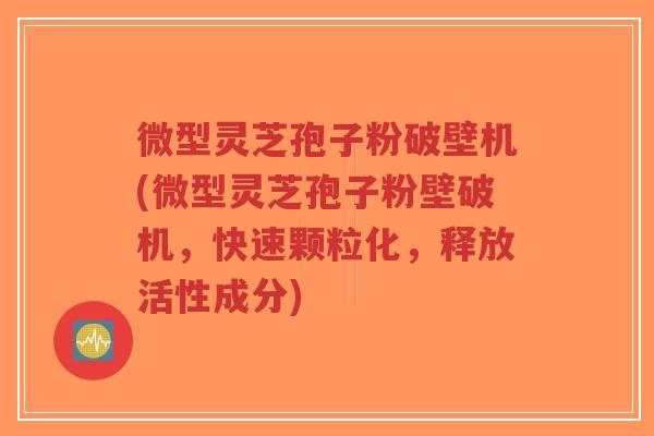 微型灵芝孢子粉破壁机(微型灵芝孢子粉壁破机，快速颗粒化，释放活性成分)-第1张图片-超越