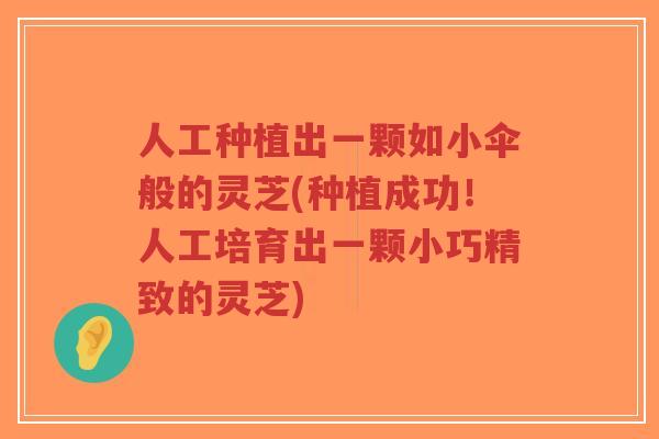 人工种植出一颗如小伞般的灵芝(种植成功!人工培育出一颗小巧精致的灵芝)-第1张图片-超越 人工种植出一颗如小伞般的灵芝(种植成功!人工培育出一颗小巧精致的灵芝)-第1张图片-超越