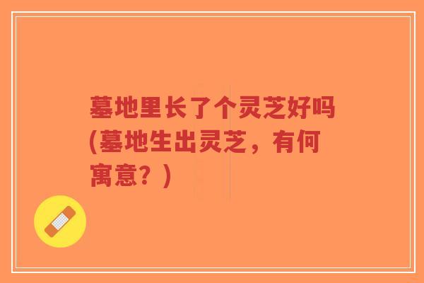 墓地里长了个灵芝好吗(墓地生出灵芝,有何寓意?)-第1张图片-超越 墓地里长了个灵芝好吗(墓地生出灵芝,有何寓意?)-第1张图片-超越