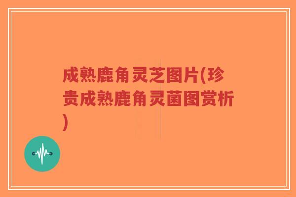 成熟鹿角灵芝图片(珍贵成熟鹿角灵菌图赏析)-第1张图片-超越 成熟鹿角灵芝图片(珍贵成熟鹿角灵菌图赏析)-第1张图片-超越