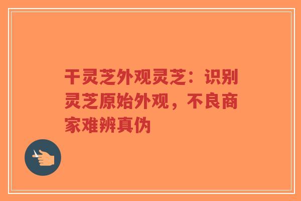 干灵芝外观灵芝:识别灵芝原始外观,不良商家难辨真伪-第1张图片-超越 干灵芝外观灵芝:识别灵芝原始外观,不良商家难辨真伪-第1张图片-超越