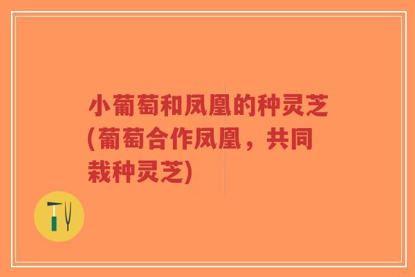 小葡萄和凤凰的种灵芝(葡萄合作凤凰,共同栽种灵芝)-第1张图片-超越 小葡萄和凤凰的种灵芝(葡萄合作凤凰,共同栽种灵芝)-第1张图片-超越