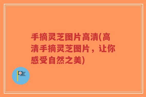 手摘灵芝图片高清(高清手摘灵芝图片，让你感受自然之美)-第1张图片-超越