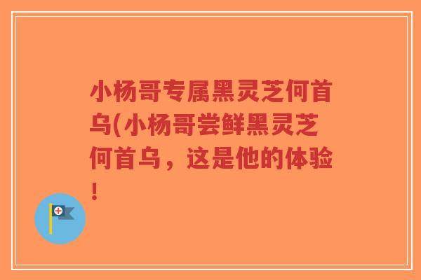小杨哥专属黑灵芝何首乌(小杨哥尝鲜黑灵芝何首乌,这是他的体验!-第1张图片-超越 小杨哥专属黑灵芝何首乌(小杨哥尝鲜黑灵芝何首乌,这是他的体验!-第1张图片-超越