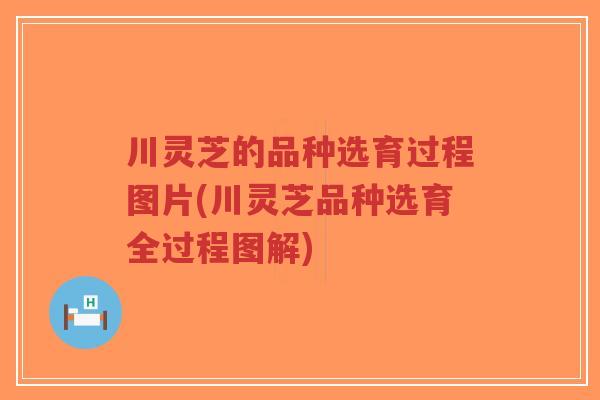 川灵芝的品种选育过程图片(川灵芝品种选育全过程图解)-第1张图片-超越 川灵芝的品种选育过程图片(川灵芝品种选育全过程图解)-第1张图片-超越