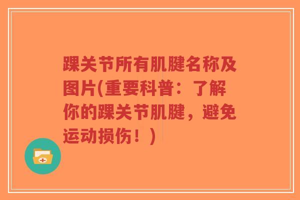 踝关节所有肌腱名称及图片(重要科普:了解你的踝关节肌腱,避免运动损伤!)-第1张图片-超越 踝关节所有肌腱名称及图片(重要科普:了解你的踝关节肌腱,避免运动损伤!)-第1张图片-超越